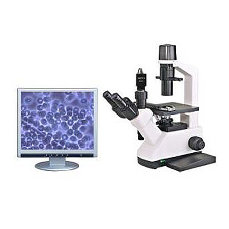 Inverted Microscopes